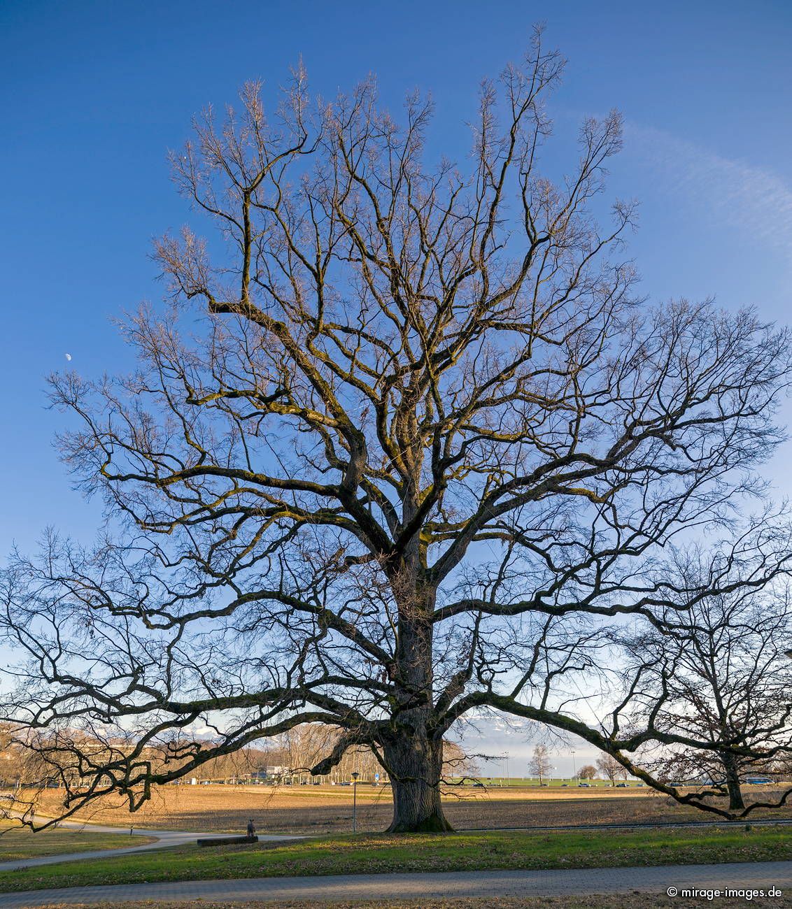 Unil Oak
Lausanne

