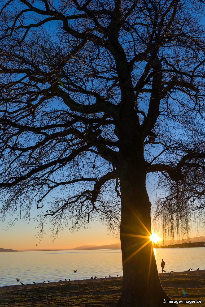 Sunset
Lac Lemn
Schlüsselwörter: autumn1