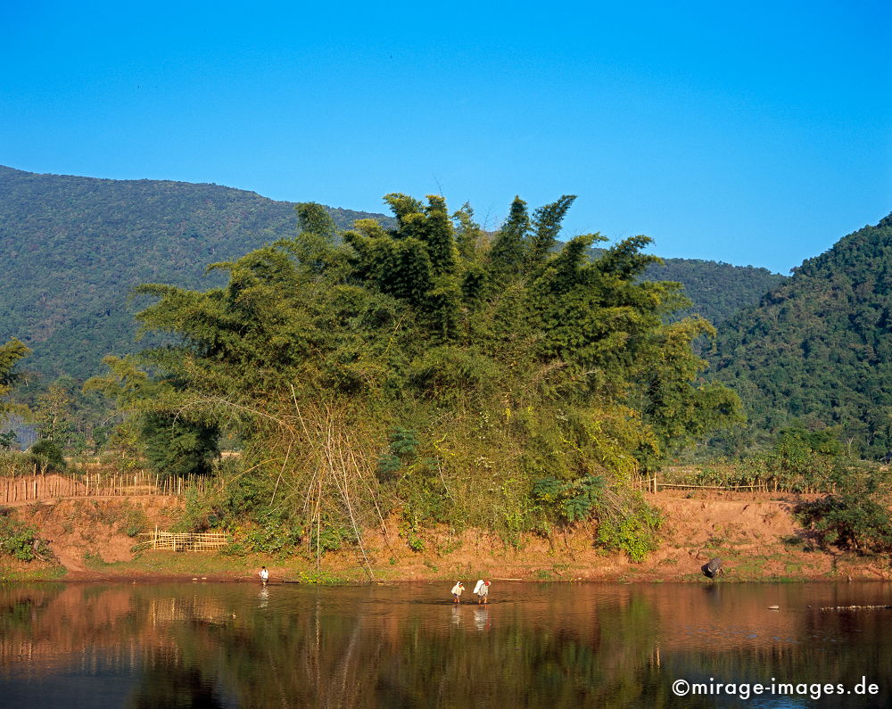 Am Nam Phak 
Muang La
Schlüsselwörter: Fluss, Spiegelung, blau, Bambus, Wasser, Wasserbüffel, Vegetation, Pflanze, Natur, Landschaft, Entspannung, entspannen, Südost Asien, Reiseziel, Tourismus, Reise, Landschaft, Genuss, Kultur, aussen, draußen, Entwicklungsland, Fernreise, plants1