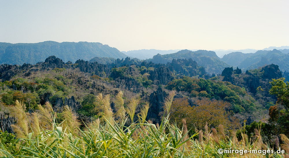 Mountainscape
Khammouane
Schlüsselwörter: Berge, Urwald, Dschungel, abgelegen, Wildnis, Elefantengras, Vegetation, üppig, grün, tropisch, Tropen, Landschaft, Natur, Bäume, Vegetation,