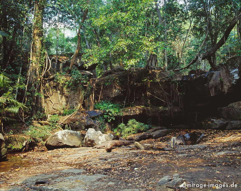 Dschungel im Flussbett der 1000 Lingas
Kulen Mountains Siem Reap
Schlüsselwörter: Südost Asien, Morgenland, Tropen, Armut, Fernreise, Reise, Kultur, Tourismus, Khmer,