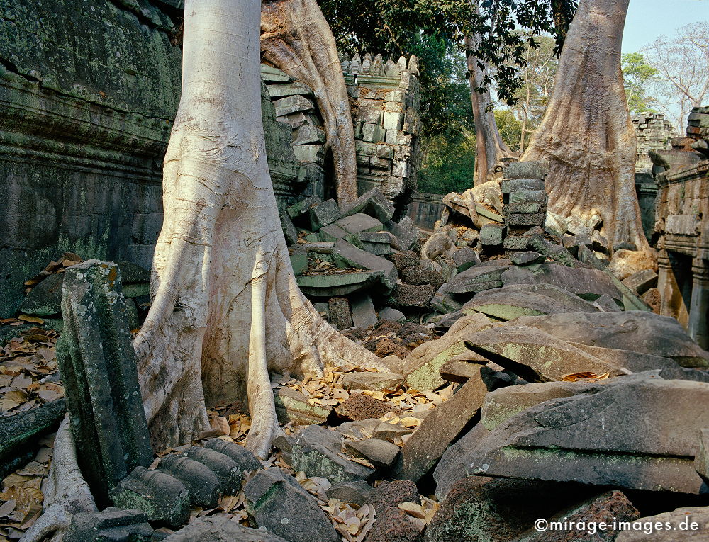 Ta Prohm
Angkor Wat
Schlüsselwörter: Baum, Dschungel, überwuchert, Khmer, Ruine, Tempel, Buddhismus, Reise, Asien, Holz, Stone, Wildnis, chaotisch, kraftvoll, Natur, Architektur, surreal, Tourismus, Reise, Frieden, friedlich, heilig, Fernreise, Vegetation,