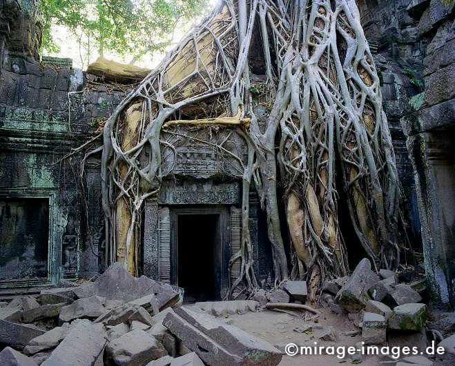 Ta Prohm
Angkor Wat
Schlüsselwörter: Baum, Dschungel, überwuchert, Khmer, Ruine, Tempel, Buddhismus, Reise, Asien, Holz, Stone, Wildnis, chaotisch, kraftvoll, Natur, Architektur, surreal, Tourismus, Reise, Frieden, friedlich, heilig, Fernreise, Vegetation,
