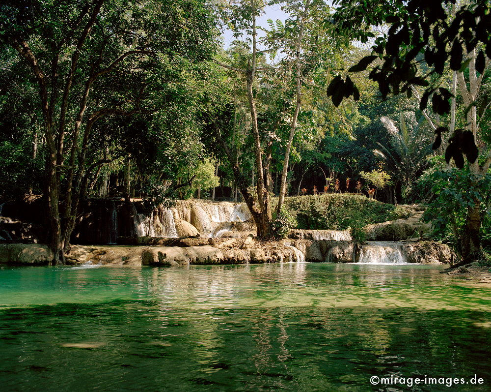 Cascades
Tat Sae
Schlüsselwörter: Teich, Wasser, Spiegelung, Ruhe, Natur, Meditation, Entspannung, entspannen, Wildnis, unberührt, frisch, klar, natürlich, Harmonie, authentisch, Reinheit, Sauberkeit, Leben, einladend, zerbrechlich, empfindlich, ungezähmt, idyllisch, Baum, Vegetation,