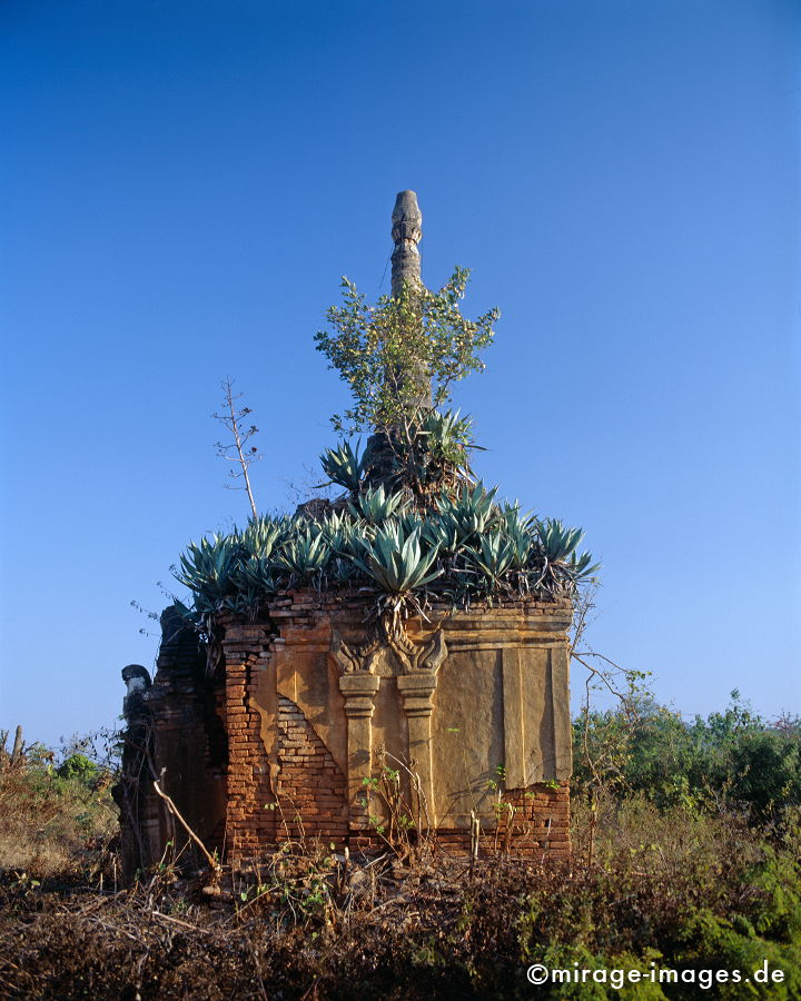 Shwe Inn Thein
Indein
Schlüsselwörter: Kraft, Verehrung, Kult, Meditation, Buddhismus, Religion, Schrein, Spiritualität, Ruhe, Natur, Frieden, heilig, Entspannung, entspannen, Ruine, Glauben, gläubig, religiös, Kontemplation, Liebe,