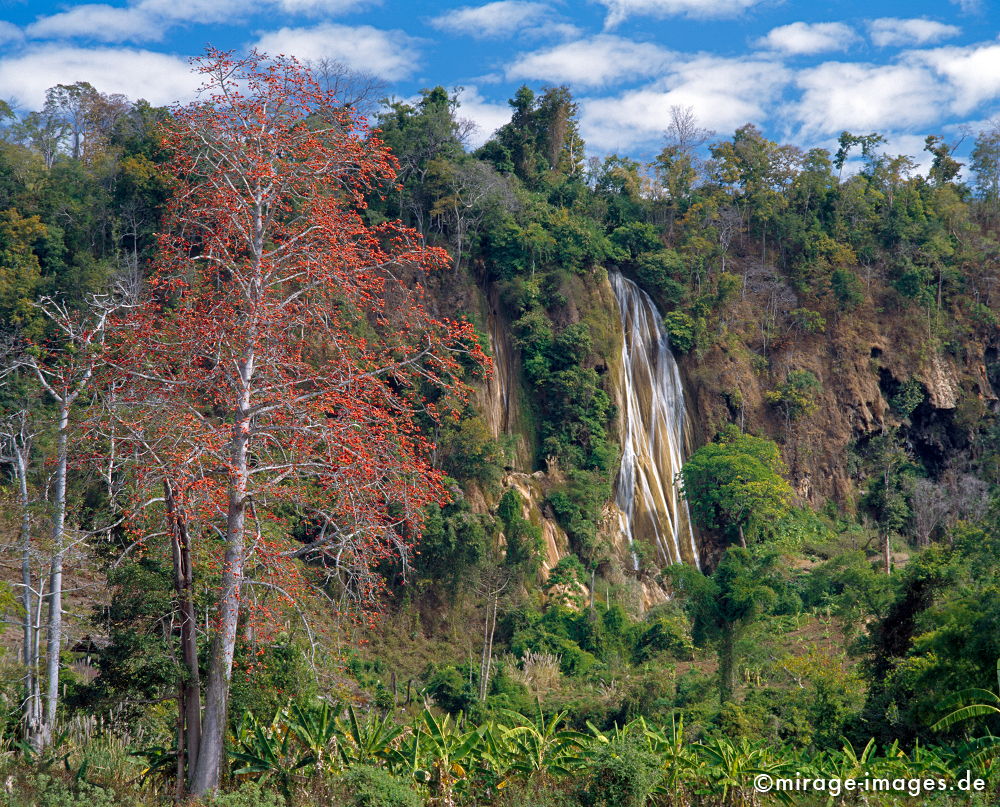Waterfall
Hsipaw  Mandalay
Schlüsselwörter: trees1, Urweltlandschaft, Kapokbaum, Wasserfall, fließen, Dschungel, Tropen, Wildnis, Wasser, Fluss, Ruhe, Natur, Landschaft, Asien, Reise, Pflanzen, vegetation, klar, rein, Ökologie, Fernreise, Birma, Burma