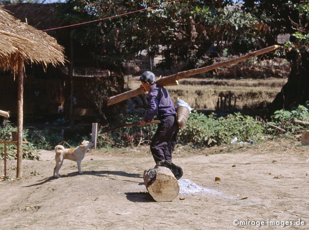 Communication
Hsipaw
Schlüsselwörter: Hund, Junge, Spiel, Holz, Landleben, lachen, Beziehung, Südost Asien,