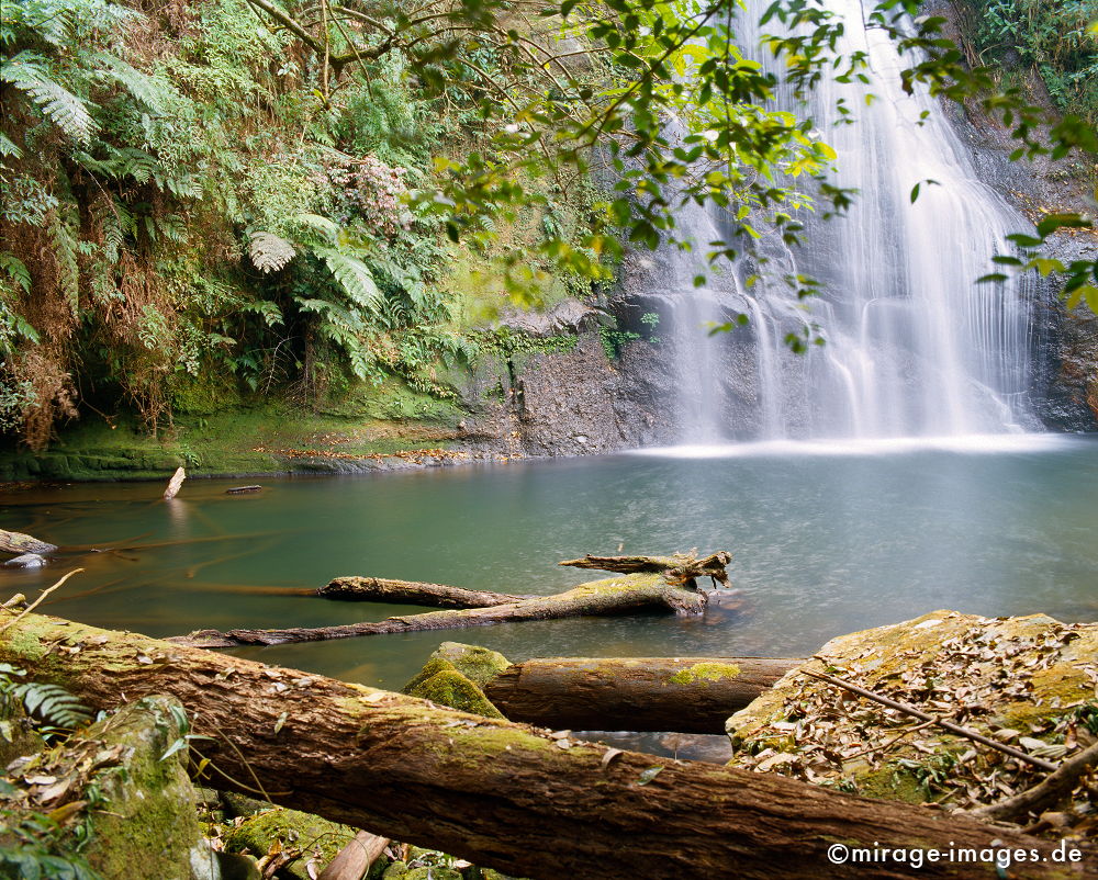 Nam Kat Waterfal
Oudomxay
Schlüsselwörter: Wasserfall, Wasser, fliessen, Ruhe, Natur, Stein, Meditation, Entspannung, entspannen, Wildnis, unberührt, frisch, klar, natürlich, Harmonie, authentisch, Felsen, Reinheit, Sauberkeit, Leben, zerbrechlich, empfindlich, romantisch, idyllisch, kühl,