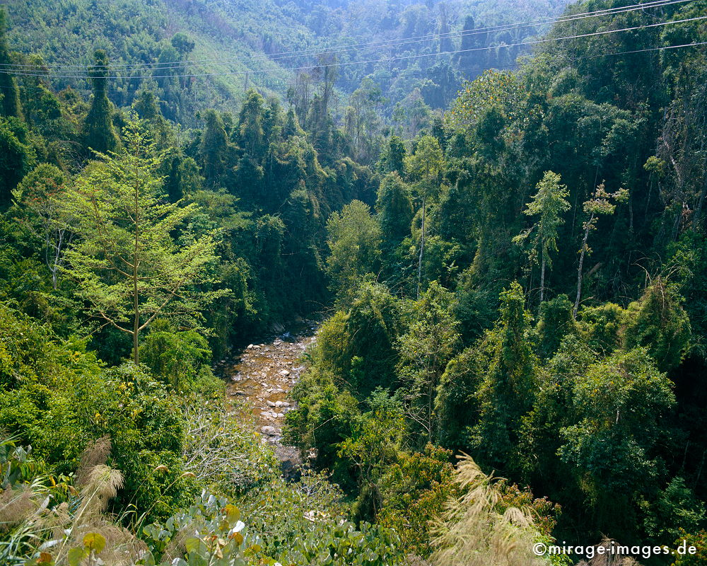 On the Road
between Oudomxay Luang Pra Bang
Schlüsselwörter: Dschungel, Tropen, tropisch, sensible, fragil, Wasser, Fluss, Ruhe, Wasser, Natur, Landschaft, Südost Asien, Reise, Pflanzen, klar, rein, grün, Urwald, Einsamkeit, ursprünglich, gesund, Ökologie, Ökologie, Indochina, fliessen, Stille, Wald, üppig,