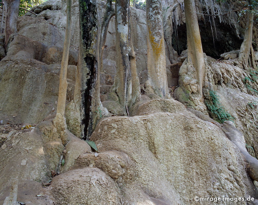 Tat Kuang Xi
Luang Prabang
Schlüsselwörter: Wasserfall, Sedimente, Schlamm, Dschungel, Tropen, Wasser, Ruhe, Wasser, Natur, Landschaft, Asien, Reise, Pflanzen, klar, rein, Ökologie, Kaskade, Felsen, Reinheit, Sauberkeit, Leben, einladend, schroff, rau, zerbrechlich, empfindlich, romantisch, idylle
