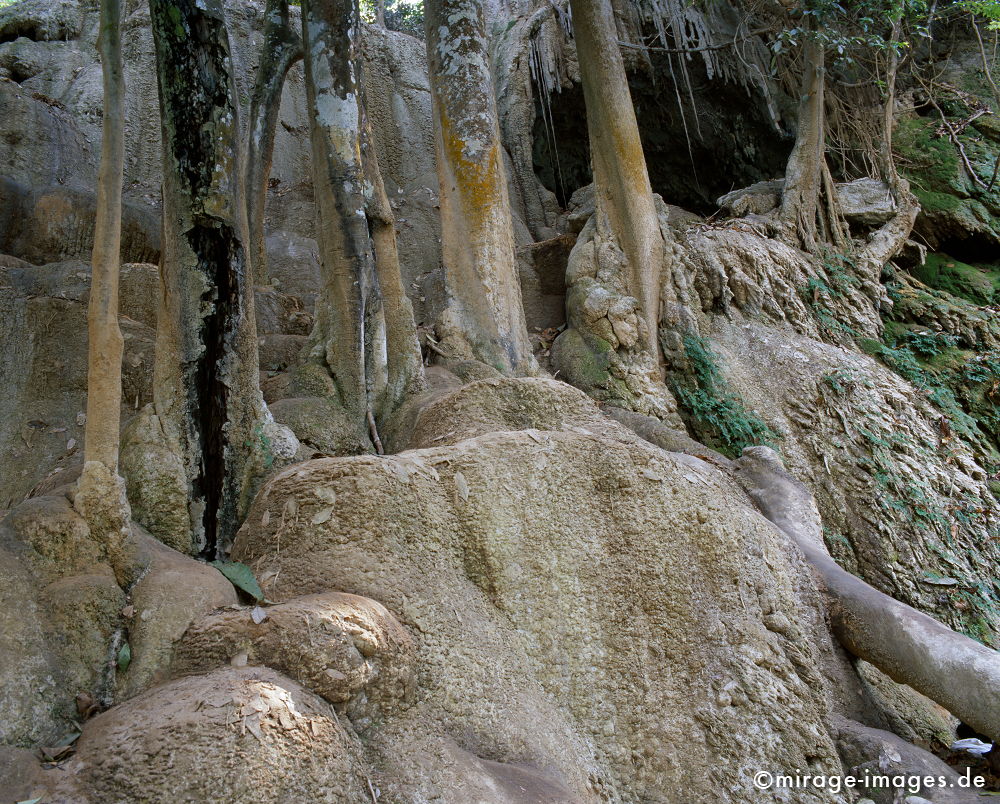 Tat Kuang Xi
Luang Prabang
Schlüsselwörter: Wasserfall, Sedimente, Schlamm, Dschungel, Tropen, Wasser, Ruhe, Wasser, Natur, Landschaft, Asien, Reise, Pflanzen, klar, rein, Ökologie, Kaskade, Felsen, Reinheit, Sauberkeit, Leben, einladend, schroff, rau, zerbrechlich, empfindlich, romantisch, idylle