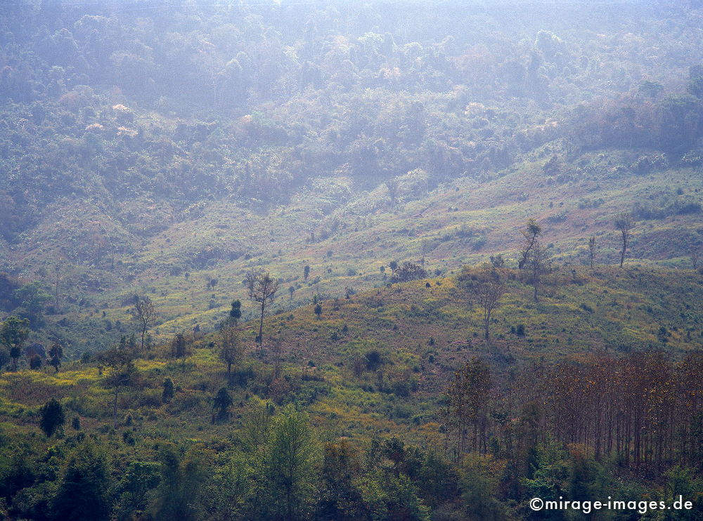 Clearcut
Luang Prabang
Schlüsselwörter: Dschungel, Tropen, tropisch, Wildnis, Ruhe, Natur, Landschaft, Baum, Pflanzen, rein, grün, Ökologie, üppig, unberührt, natürlich, Harmonie, authentisch, Vegetation, Urwald, Oase, Resource, Zukunft, überbordend, üppig, Sauberkeit, Leben,