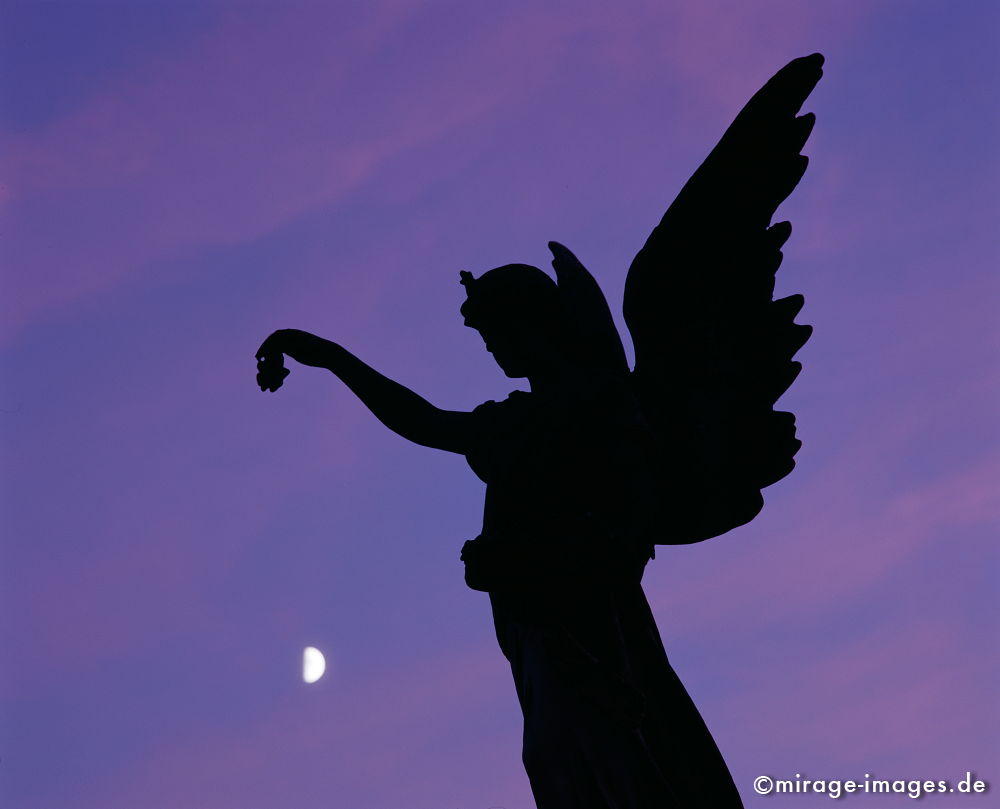 Angel
München
Schlüsselwörter: Mourning1, Kultur, Flgel, gttlich, Friedhof, Kunst, Statur, Himmel, violett, bronze, Architektur, himmlisch, Tod,