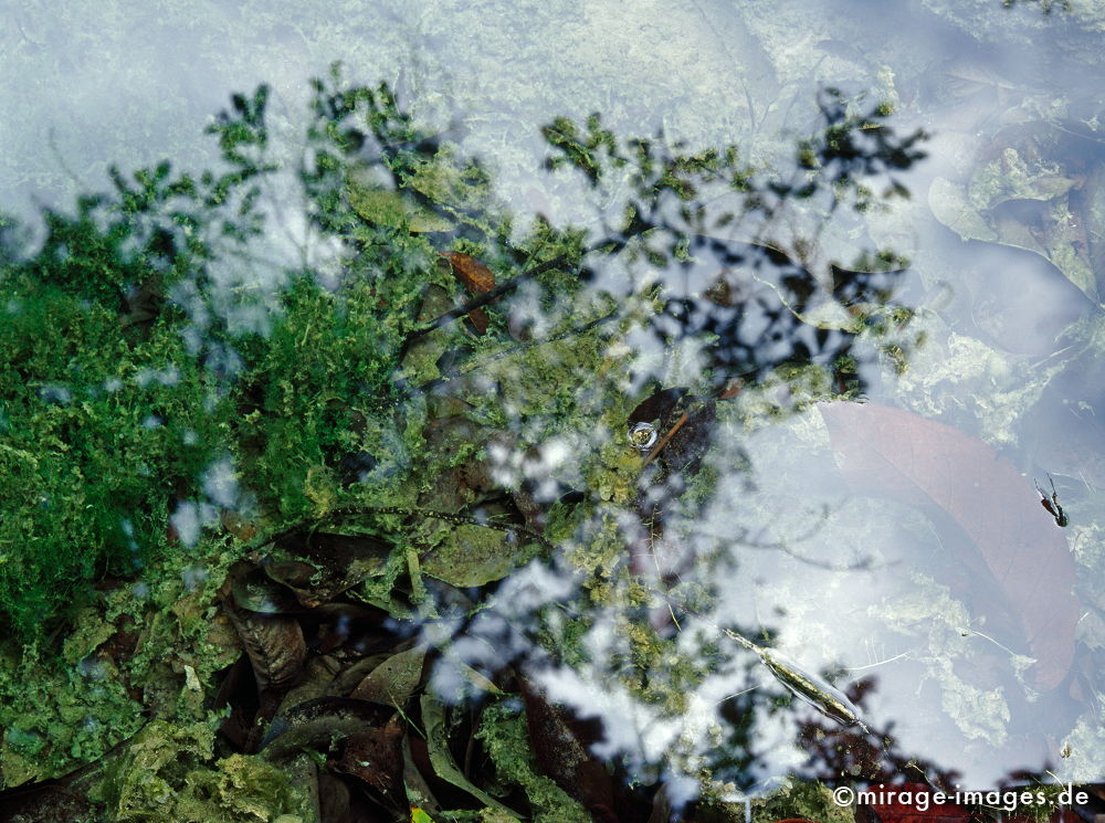 Flussbild
Khao Nor Chu Chi National Park
