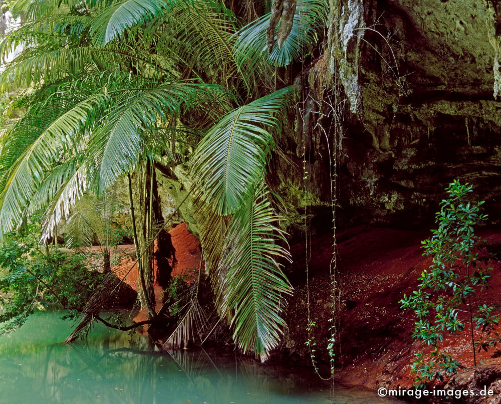 Jungle
Railay East Phra Nang Bay
