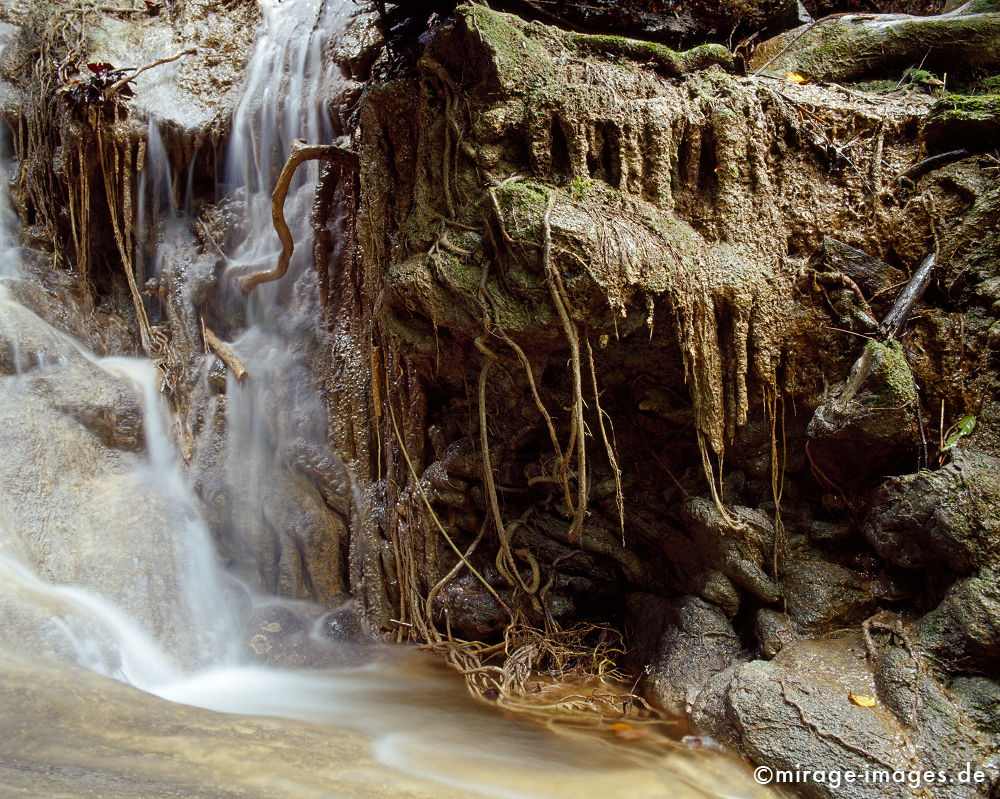 Creek
Mai Kaew Cave
Schlüsselwörter: Wasser, Dschungel, Wildnis, ursprünglich, Natur, fliessen, natürlich, Fluss, Entspannung, entspannen, Schönheit, abgelegen, Abenteuer, Entdecken, Aktivität, Umwelt, Vegetation, Wurzel, rauschen,
