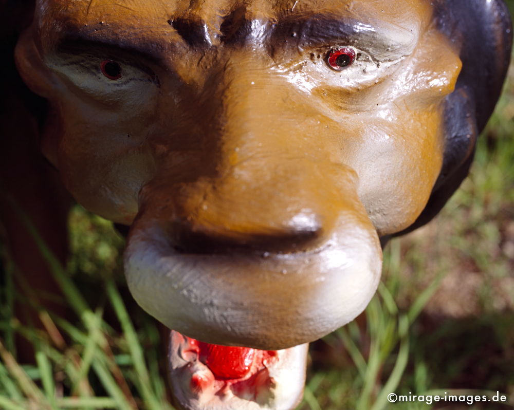 Roaring Tiger
Krabi
