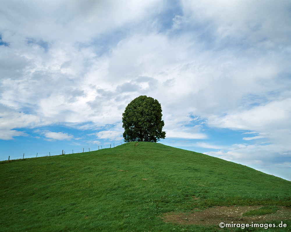 Linde auf dem Veiglberg
Bayern Bad Tölz-Wolfratshausen
Schlüsselwörter: trees1, Germany1