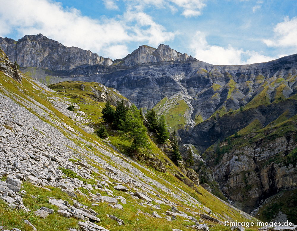 Mountains and Sky
Valais Derborence
Schlüsselwörter: Wildnis, rauh, rau, Felsen, Berge, Berg, Wiese, Niemandsland, hochalpin, Gebirge, Felssturz, mystisch, geheimnisvoll, abgelegen, jenseits, Sagen, Mythen, Legenden, Sage, Mythos, Legende, Natur, natürlich, Nebel, Dunst, urtümlich, nebelig, grau, sauber,
