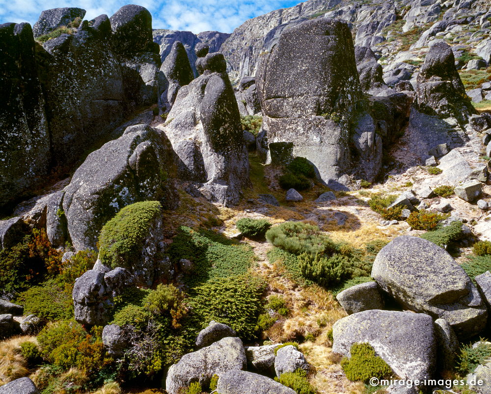 Rockformation
Serra da Estrela
Schlüsselwörter: Stein, Gletscher, Berge, Felsen, fantastisch, Magie, magisch, Fantasie, Geschichte, Geologie, Landschaft, Natur, natürlich, alt, surreal, unwirklich, Schönheit, Reise, rund, weich, ocker, Granit, Naturschutzgebiet, Reiseziel, Tourismus, geschützt,