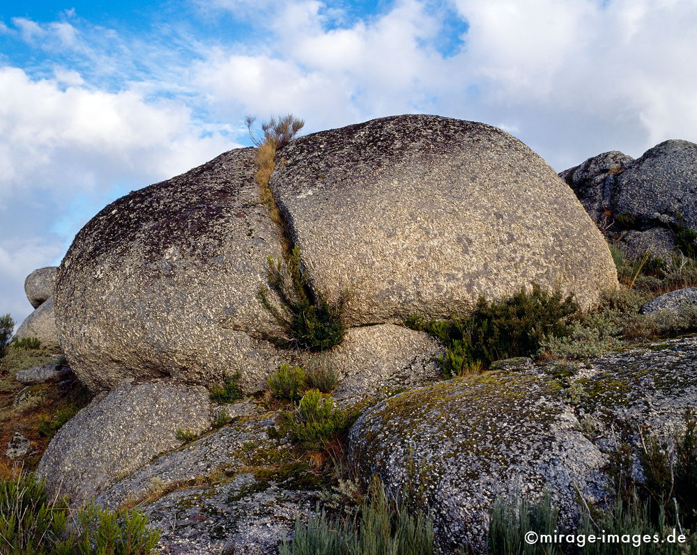 Hairy ass
Serra da Estrela
Schlüsselwörter: Stein, Fels, Bild Fantasie, Phantasie, Imagination, grau, liegend, Natur, Hinterteil, Arsch,