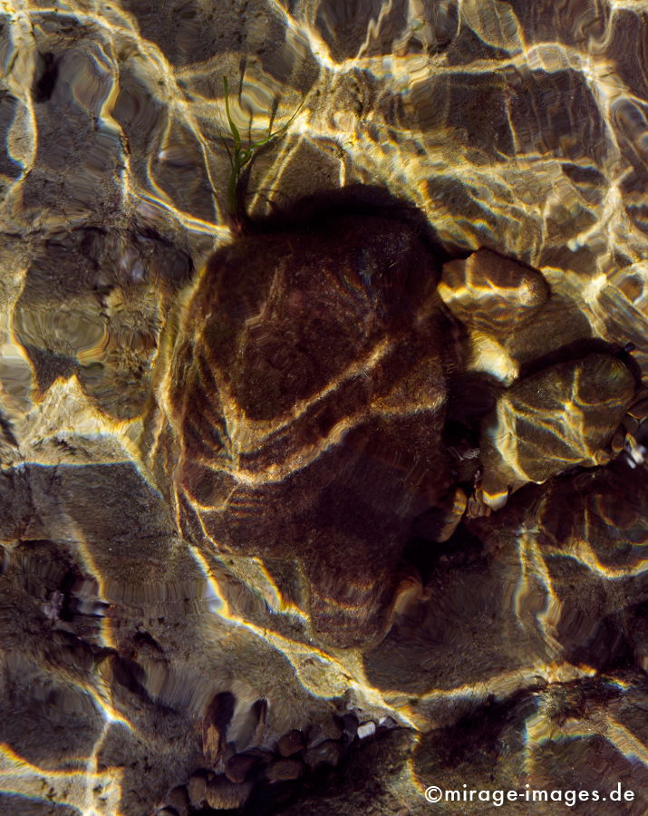 Underwater
Cala Violina Toskana
Schlüsselwörter: Stein, zeitlos, Wasser, Meer, Ufer, Küste, Spiegelung, Licht, Reflektion, reflektieren, Unterwasser, Wellen, Bewegung, sanft, weich glatt, glänzen, braun, Spiel,