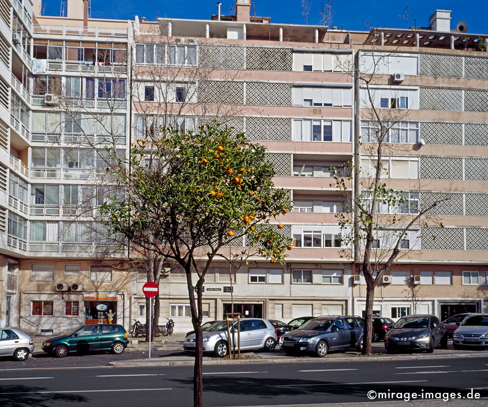 Orange tree
Lisboa Alvalade
Schlüsselwörter: Baum, Hochhaus, Vorstadt, Sonne, bürgerlich,