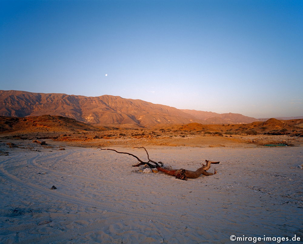 Sand, Wood and Mountains
Fins
Schlüsselwörter: Stein, Sand, Magie, Strand, Felsen, Einsamkeit, einsam, schroff, schön, Schönheit, spektakulär, rauh, weich, Erosion, Umwelt, Leere, Karst, Gebirge, menschenleer, Geologie, karg, Sonnenaufgang, Himmel, blau, Mond, morgens, Feuerstelle, 