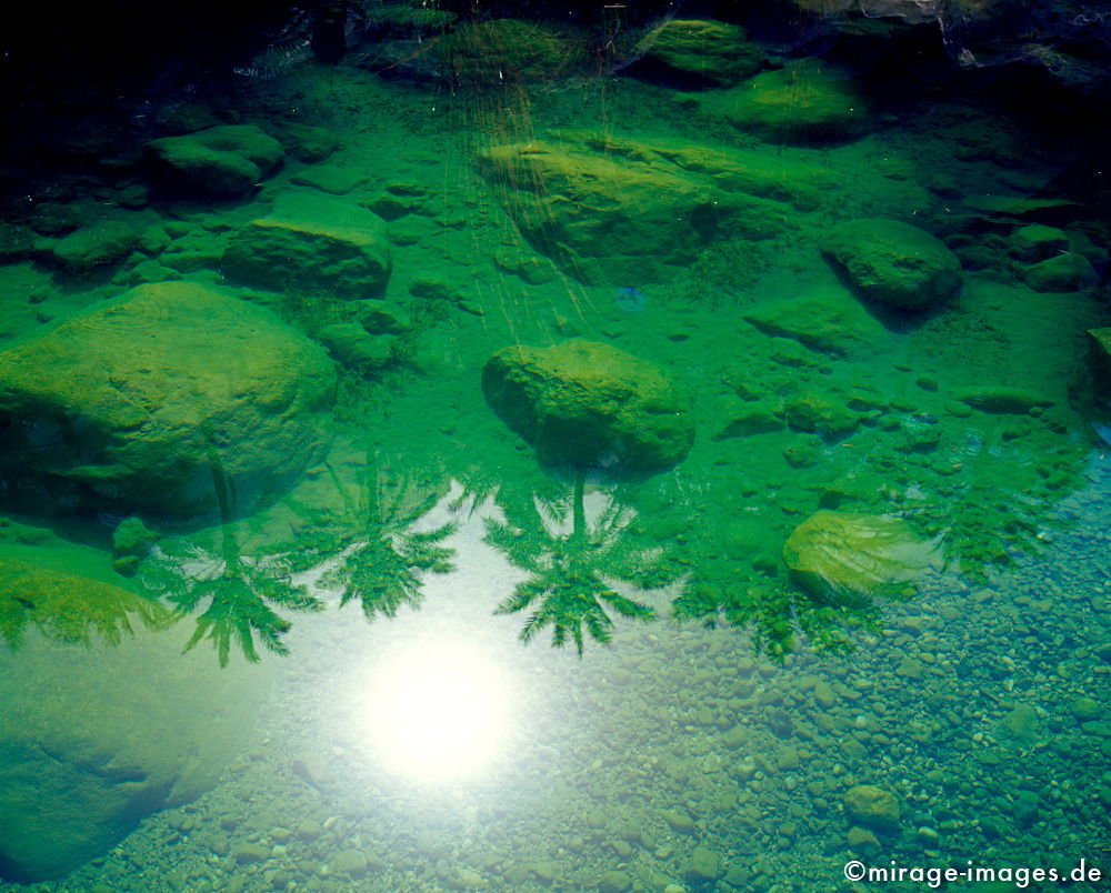 Pool and Palms
Wadi Tiwi
Schlüsselwörter: Oase, Wadi, Flussbett, Wasser, Erfrischung, Palmen, Stein, Fluss, klar, sauber, Einsamkeit, einsam, ruhig, Gegensatz, sonnig, friedlich, Frieden, Ruhe, Stille, schön, Schönheit, spektakulär, unberührt, glasklar, ursprünglich, Attraktion, 