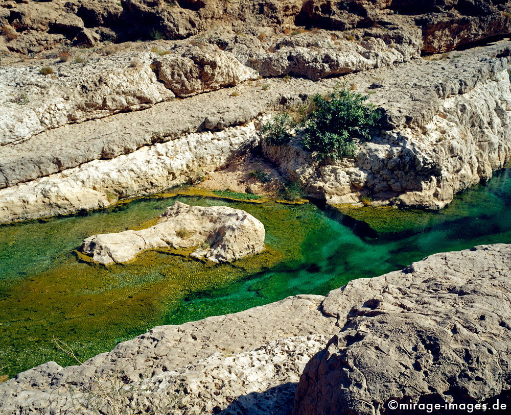 Crocodile
Wadi Ash Shab
Schlüsselwörter: Oase, Wadi, Flussbett, Wasser, Erfrischung, Stein, Schlucht, Fluss, klar, sauber, Berg, Felsen, Einsamkeit, einsam, schroff, ruhig, Gegensatz, sonnig, friedlich, Frieden, Ruhe, Stille, schön, Schönheit, spektakulär, rauh, unberührt, glasklar, ursprün