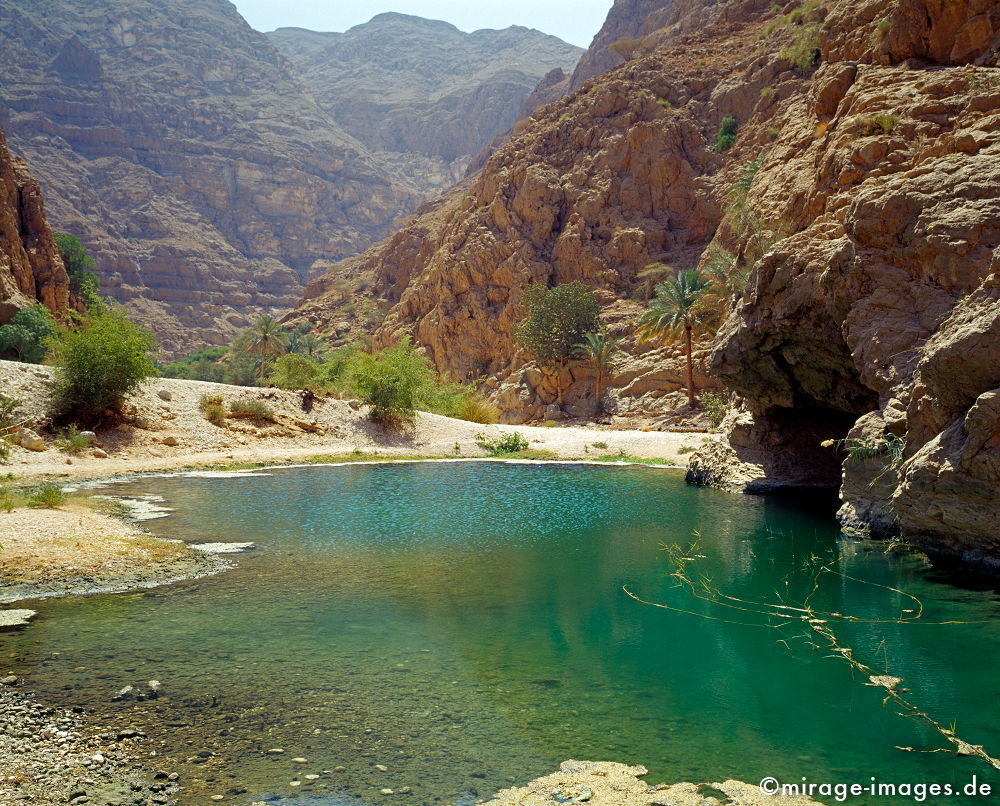 Oasis
Wadi Ash Shab
Schlüsselwörter: Oase, Wadi, Flussbett, Wasser, Erfrischung, Palmen, Stein, Schlucht, Fluss, klar, sauber, Berg, Felsen, Einsamkeit, einsam, schroff, ruhig, Gegensatz, sonnig, friedlich, Frieden, Ruhe, Stille, schön, Schönheit, spektakulär, rauh, unberührt, glasklar, 