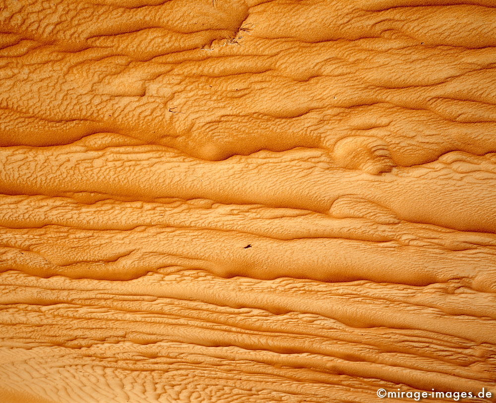 Skin
Wahiba Sharquiya Sands 
Schlüsselwörter: karg, Sonne, heiss, Sand, rot, Bild, Muster, Textur, Haut, Wellen, geschwungen, aride Zone, Trockenheit, trocken, Hitze, Natur, natürlich, Wildnis, Mittlerer Osten, Wüste, wandern, Traum, Islamische Welt, exotisch, 