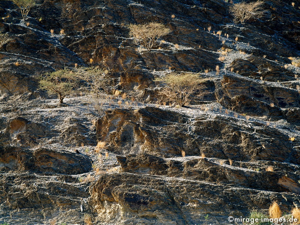 Wadi Bani Awf
Al Hajar al Gharbi
Schlüsselwörter: Stein, Berg, Felsen, Einsamkeit, einsam, schroff, ruhig, friedlich, Frieden, Ruhe, Stille, schön, Schönheit, spektakulär, schroff, rauh, unberührt, ursprünglich, überleben, Karst, Gebirge, Ödland, abgeschieden, menschenleer, Geologie, Leere, karg, 