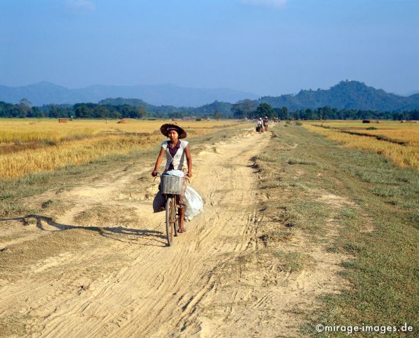 Cycling in the countryside
Mrauk - U
Schlüsselwörter: Fahrrad, Strasse, Staub, trocken, Abend, Wärme, warm, Mädchen, Landschaft, Weg, Feldweg, Weite, Ruhe, gemächlich, gelassen, Felder, Landwirtschaft, Birma, Burma, Myanmar, Südost Asien, 