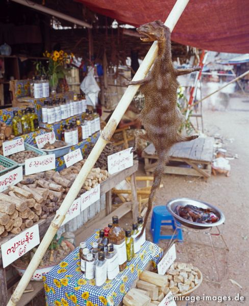 Pharmacy
Kinpun
Schlüsselwörter: Kräuter, Wurzeln, Heilung, Arznei, Apotheke, Marktstand, Flughund, Schlangenblut, Zauberei, Hexen, Birma, Burma, Myanmar, Südost Asien, Entwicklungsland, Tropen, Armut, Fernreise, Reise, Kultur, Tourismus, exotisch, touristische Attraktion, Reiseziel, 