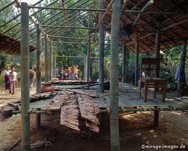 Building a bamboo hut
Hpa - an 
Schlüsselwörter: Dorf, Haus, Gebäude, bauen, Bambus, Hütte, Handwerk, Birma, Burma, Myanmar, Südost Asien, Entwicklungsland, Tropen, Armut, Fernreise, Reise, Kultur, Tourismus, exotisch, touristische Attraktion, Reiseziel, 