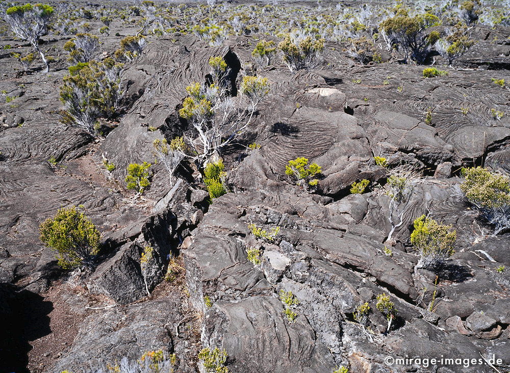 Lavaskin
Formica Léo - Piton de la Fournaise
Schlüsselwörter: Lava, Lavafeld, Sand, Geologie, Wüste, einsam, Einsamkeit, Weite, Plateau, Hochebene, vulkanisch, Piton de la Fournaise, Himmel, blau, Stein, Krater, Vulkankrater, Einöde, trocken, karg, bizarr, unwirklich, Bruch, Ruhe, menschenleer, verlassen, Geologie