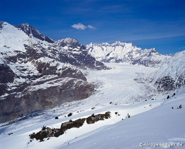 Glacier d'Aletsch
Berner Alpen
Schlüsselwörter: Eis, Schnee, Winter, Kälte, weiss, Sonne, kalt, Fels, Steine, Berge, Berg, Gebirge, wild, romantisch, rauh, ungezähmt, Naturschutz, geschützt, gefroren, Gletscher, Klima, Rückgang, 