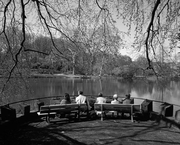 Recreation
Dortmund
Schlüsselwörter: Teich, Wasser, Bank, Bänke, Personen, Aussicht, Äste, Winter, Frühling, Pflanze, Sonne, 50er Jahre, schwarzweiss, Erholung, strahlen, Wärme, warm, Aufbruch, Jahreszeit, Stille, Ruhe, Vegetation, Botanik, botanisch, naturnah, romantisch, Rondell, 