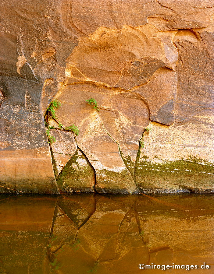 Neon Canyon
Glen Canyon National Recreation Area Utah
Schlüsselwörter: Wasser, grün, rot, zerfurcht, Felsen, Stein, Wind, Sandstein, Erosin, Bild, abstrakt, fliessen, ornament, Struktur, Entspannung, entspannen, Muster, Erdgeschichte, Naturwunder, Schönheit, abgelegen, Abenteuer, Entdecken, Aktivität, Umwelt, Vegetation,