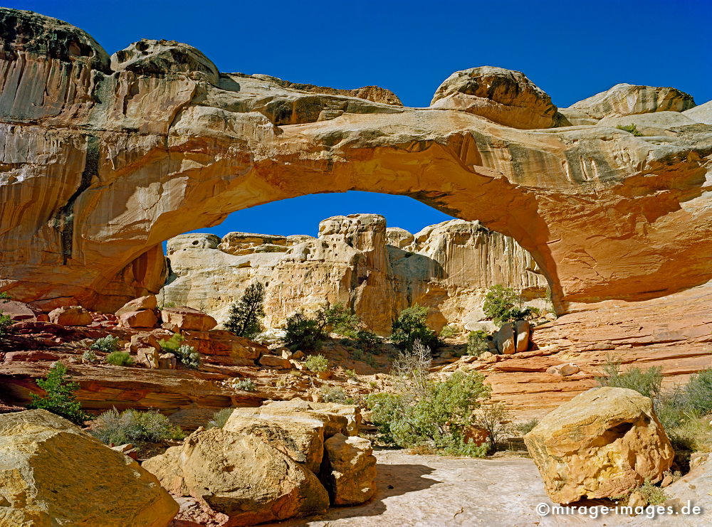 Hickman Natural Bridge Waterpocket Fold
Capitol Reef NP
Schlüsselwörter: gelb, rot, orange, zerfurcht, Felsen, Stein, Wind, Sandstein, Erosin, Bild, abstrakt, fliessen, ornament, Struktur, Entspannung, entspannen, Muster, Erdgeschichte, Naturwunder, Schönheit, abgelegen, Abenteuer, Entdecken, Aktivität, Umwelt, Vegetation,