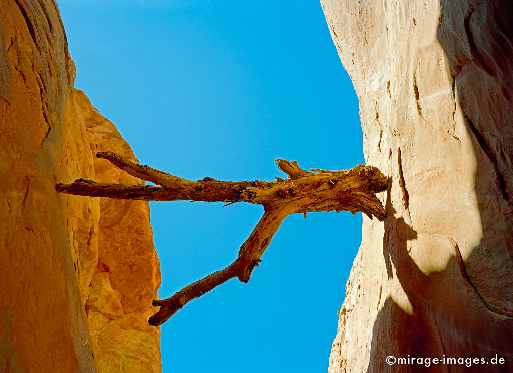 Jammed
Grand Staircase Escalante National Monument
Schlüsselwörter: gelb, rot, orange, zerfurcht, Felsen, Stein, Wind, Sandstein, Erosin, Bild, abstrakt, Entspannung, entspannen, Erdgeschichte, Naturwunder, Schönheit, abgelegen,