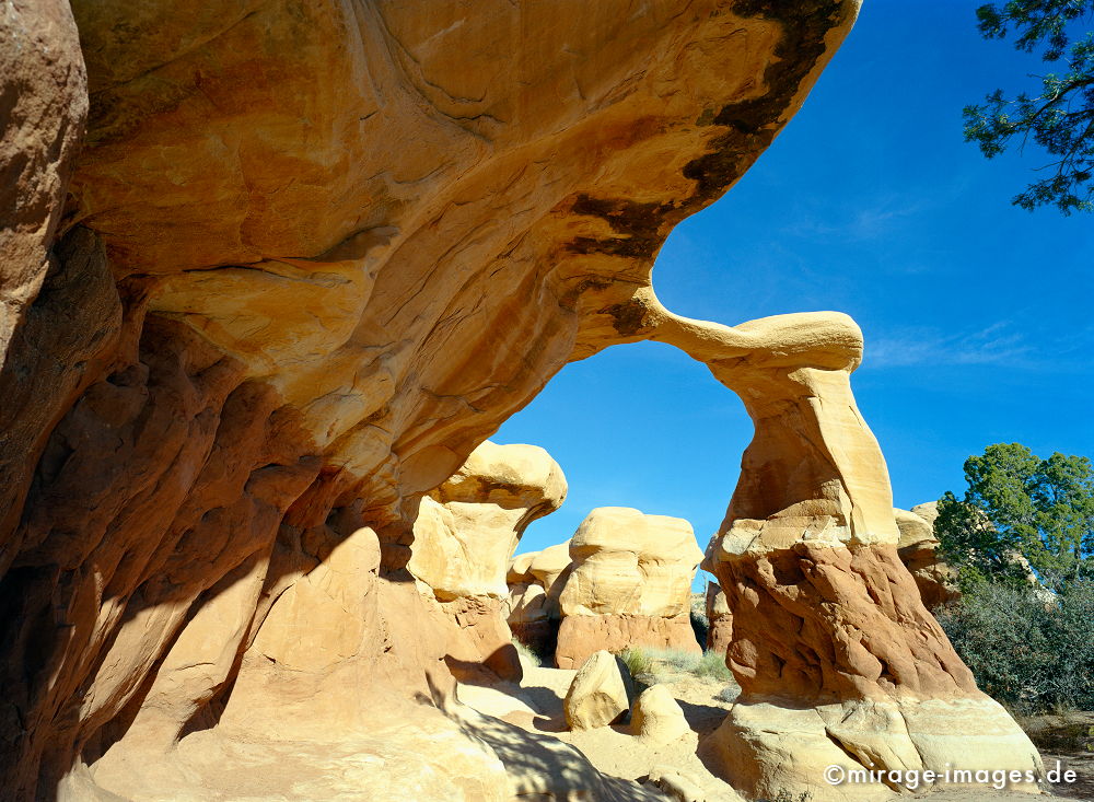 Metate Arch Devil´s Garden
Grand Staircase Escalante National Monument
Schlüsselwörter: Trockenheit, zerfurcht, Felsen, Stein, Wildnis, Wind, Sandstein, Skulptur, gelb, Erosion, ocker, grau, Struktur, Himmel, Wolken, Erdschichten, Pflanze, Weite, Sandstein, Skulptur, surreal, Phantasie, phantastisch, Fantasie, fantastisch, erstaunlich, Sonne