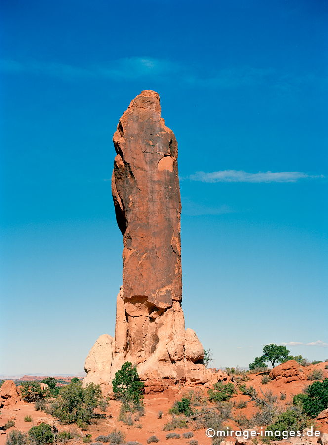 Skyscraper
Arches NP
Schlüsselwörter: zerfurcht, Felsen, Wind, Sandstein, Erosin, fliessen, Struktur, Entspannung, entspannen, Erdgeschichte, Naturwunder, Schönheit, abgelegen, Abenteuer, Entdecken, Aktivität, Umwelt, kraftvoll, Schöpfung, beeindruckend, traumhaft, hinreißend, rauh, Himme
