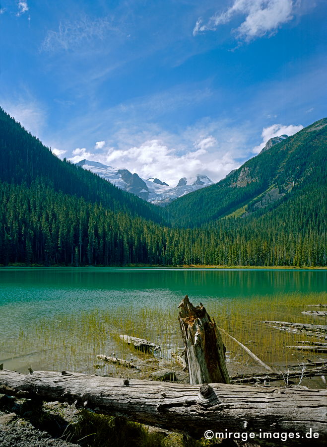 Jeoffrey Lake
Rocky Mountains
Schlüsselwörter: Postkarte, See, türkis, Einsamkeit, Fels, Hochgebirge, Stille, calmness, Wasser, Romantik, Idylle, Berg, Nadelwald, Wald, Tanne, schön, Ökologie, ecology, Entspannung, entspannen, Meditation, Wildnis, unberührt, frisch, klar, natürlich, trees1,
