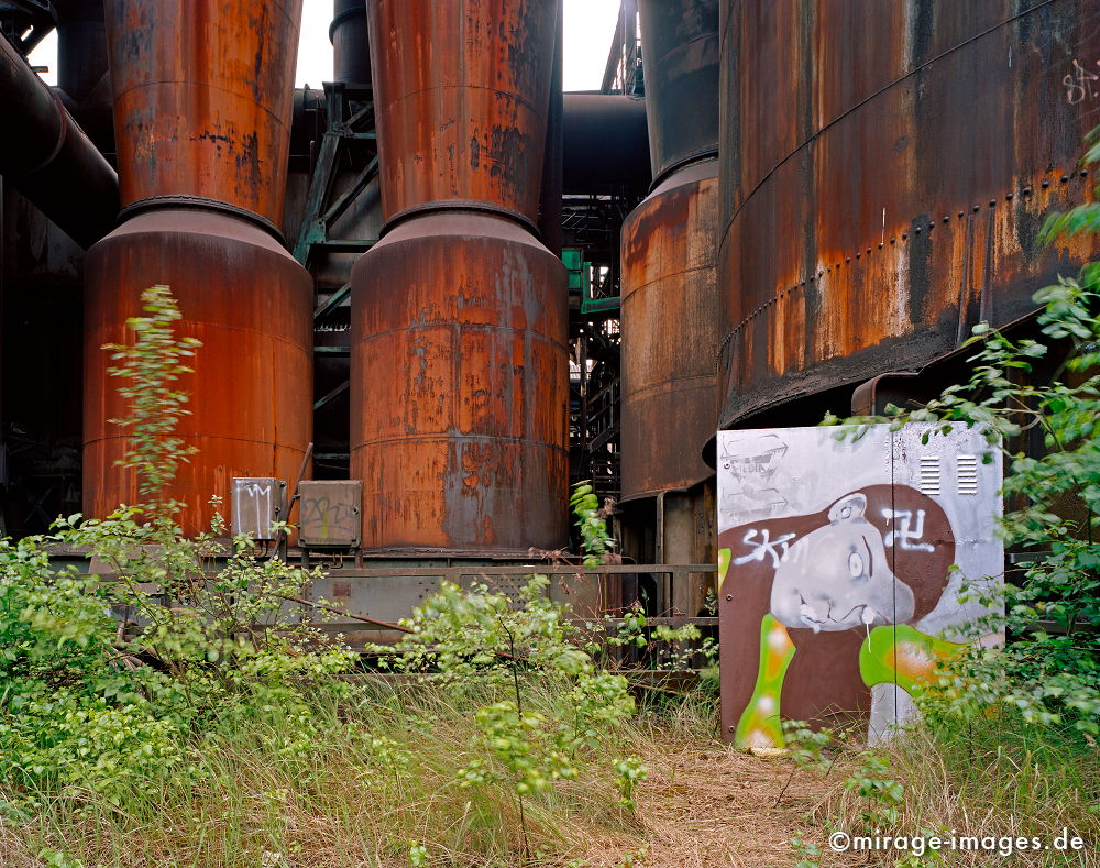 Politics
Phnix West
Schlüsselwörter: Industrie, Industrieruine, Stahlwerk, Rost, Eisen, Stahl, Architektur, Arbeit, Industriekultur, Verfall, Erosion, Zeitalter, Abbruch, Industrieanlage, Standort, Strukturwandel, Endzeit, baufllig, Gebäude, Fabrik, Ruine, Schwerindustrie, Fabrikanlage