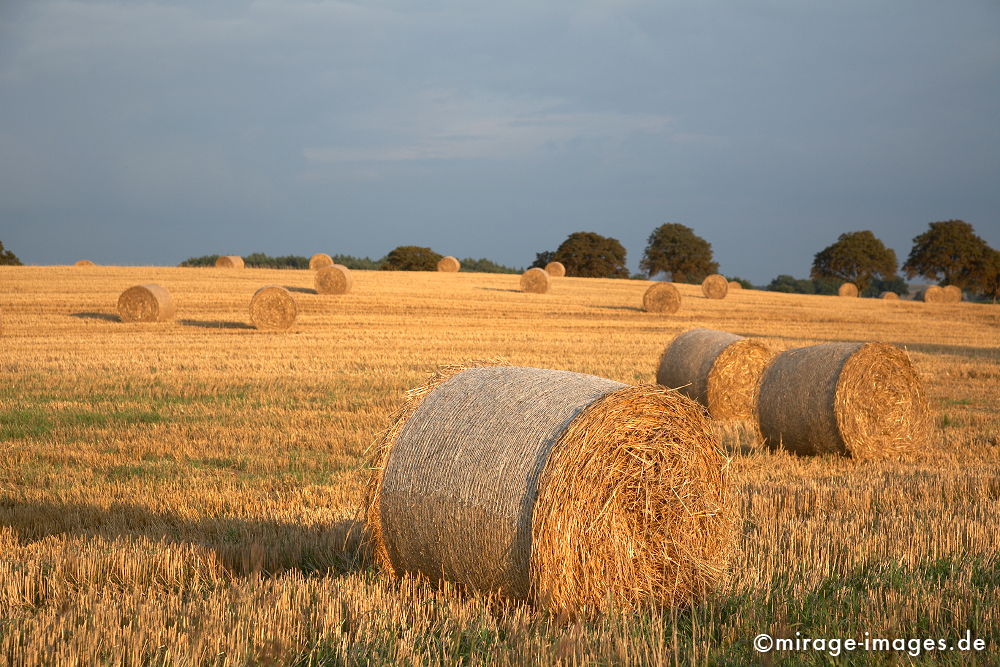 Heuballen
Mecklenburg - Vorpommern
Schlüsselwörter: autumn1