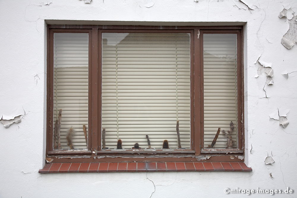 Wohnzimmerfenster
Trittau
