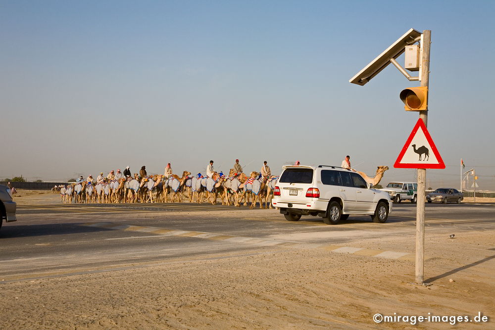 Camels
Schlüsselwörter: international, Geschäft, Geldanlage, Investment, Globalisierung, Investor, Konsum, Tourismus, Größenwahn, Arabien, arabisch, Mittlerer Osten, Wohlstand, Überfluss, Geld, Kapital, Wüste, Reise, reisen, exotisch, bombastisch, Wachstum,