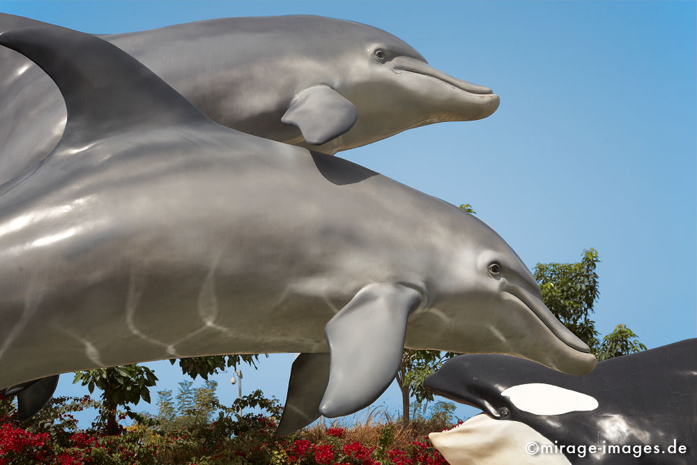 Delfine
Dubailand
Schlüsselwörter: animals1, absurd, Attrappe, Beton, bizarr, deplaziert, Freude, Intelligenz, imitation, Kitsch, Kontrast, kontrastreich, künstlich, Kuriosität, Metapher, Nachbildung, Park, Platz, Raum, Säugetier, Skulptur, skurril, spielen, Symbol, Tiere,